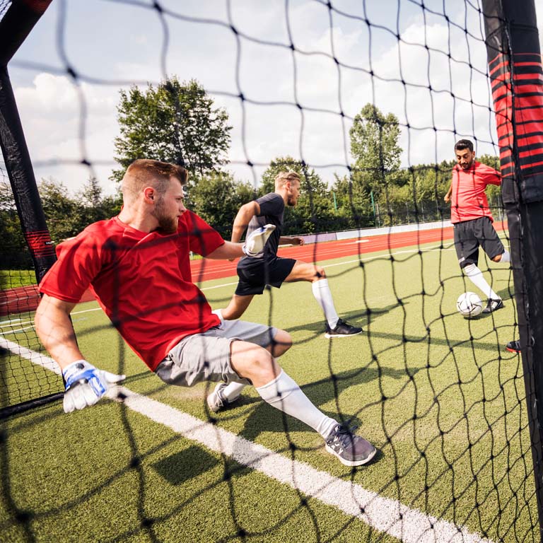 HUDORA Pro Tect soccer goal