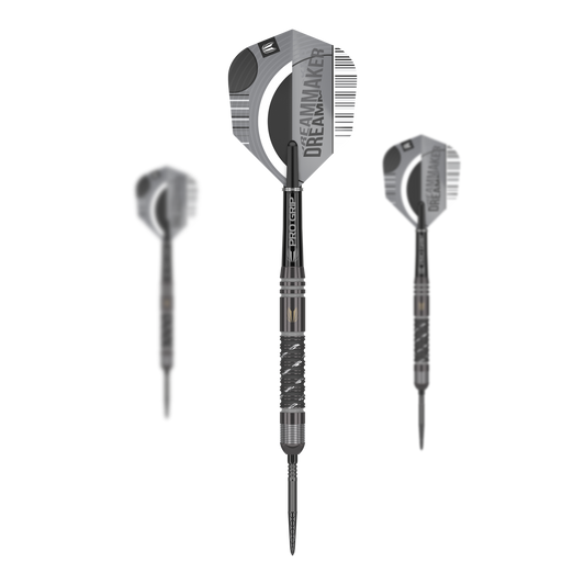Target Dimitri Van Den Bergh X Echo Swiss Point Steeldarts