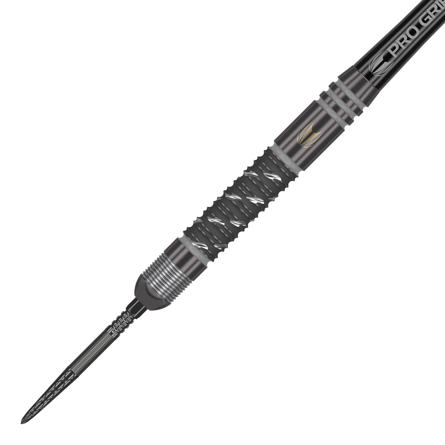 Target Dimitri Van Den Bergh X Echo Swiss Point Steeldarts
