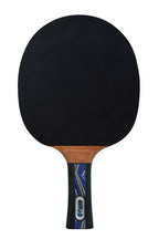 Raquette de tennis de table Donic Schildkröt Legends Platinium, Premium Line avec housse