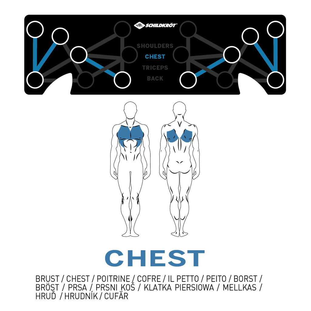 Schildkröt Push Up Multi Trainer