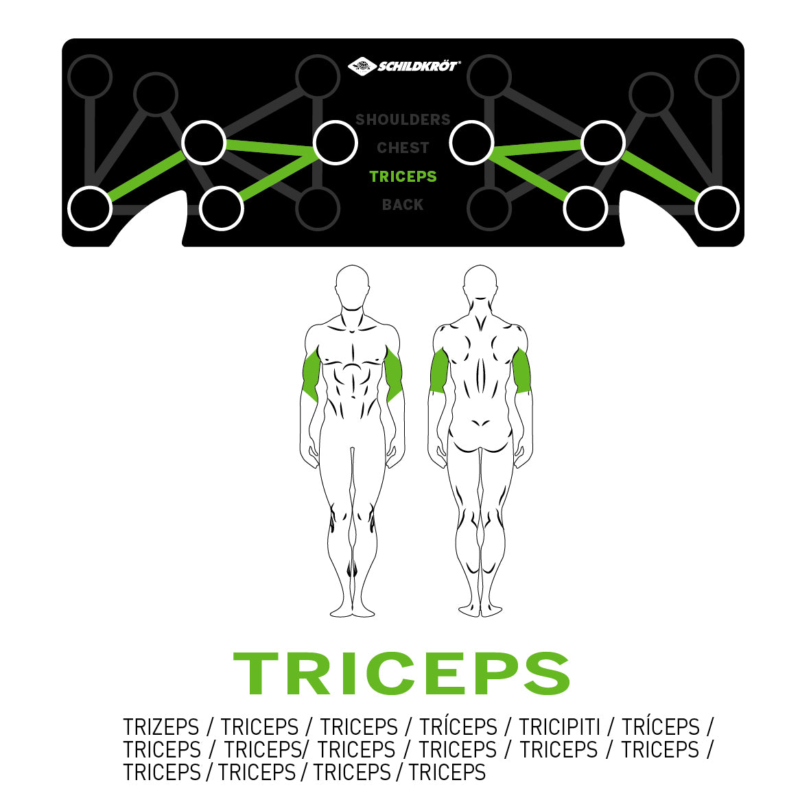 Schildkröt Push Up Multi Trainer